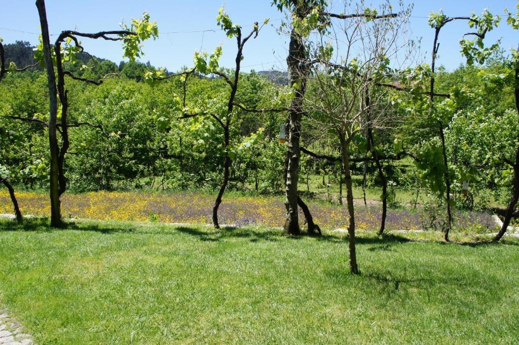 Quinta Travessa Villa Vieira do Minho Buitenkant foto