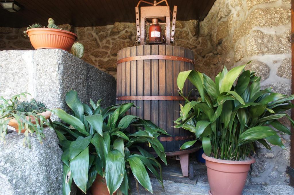 Quinta Travessa Villa Vieira do Minho Buitenkant foto